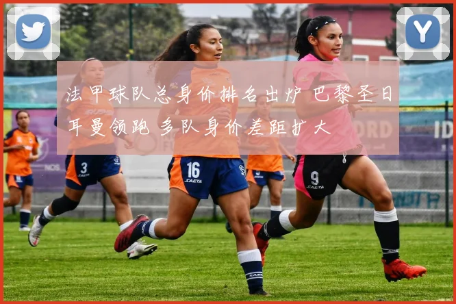 法甲球队总身价排名出炉 巴黎圣日耳曼领跑 多队身价差距扩大