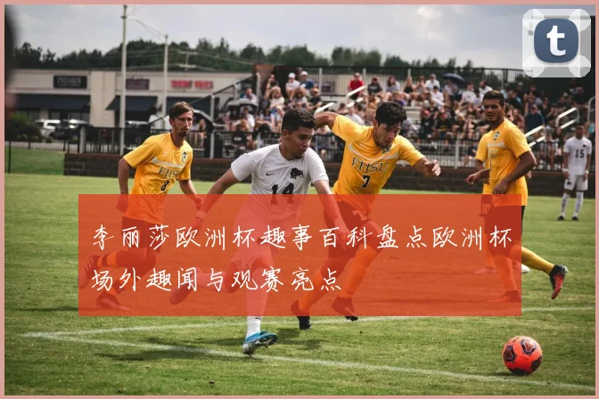 李丽莎欧洲杯趣事百科盘点欧洲杯场外趣闻与观赛亮点