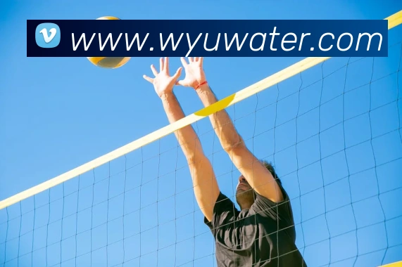 kaiyun体育官网登录入口服务体系